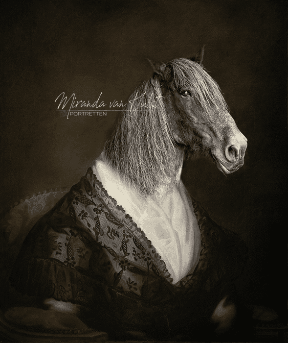 Jouw paard in de stijl van de oude meesters - MvH Fotografie, fotograaf in Hellevoetsluis
