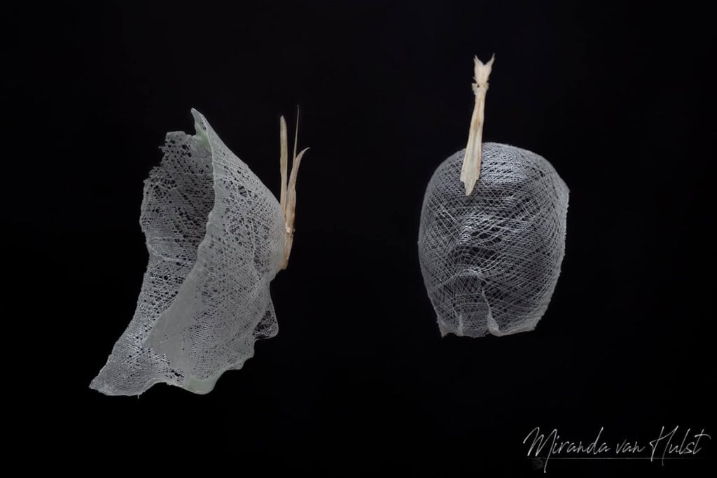 Kunst van glas, gemaakt door Glassgo en gefotografeerd door Miranda van Hulst
