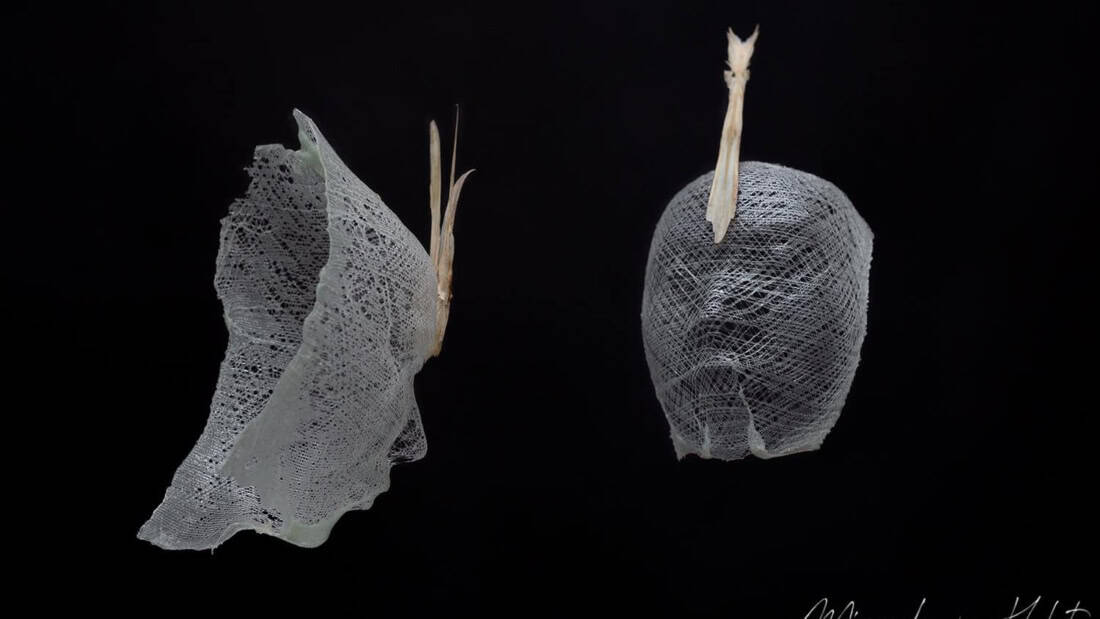 Kunst van glas, gemaakt door Glassgo en gefotografeerd door Miranda van Hulst